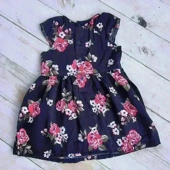 Carter's Baby Girl Floral Sleeveless Smocked Dress Blue Pink Size 18 M - Picture 4 of 5